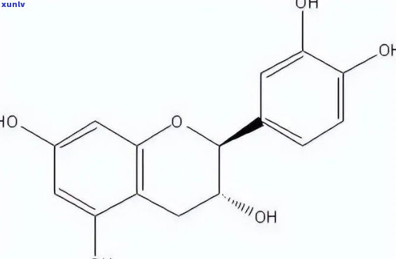 黑茶中的儿茶素，探究黑茶中儿茶素的健益处与作用机制