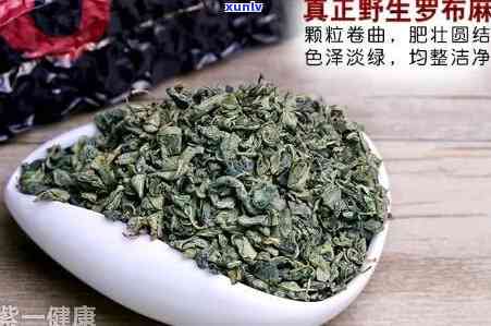 新疆罗布麻茶叶的功效与作用：全面解析