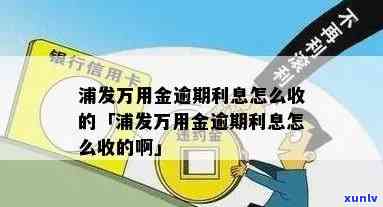 欠浦发万用金逾期-欠浦发万用金逾期会怎么样