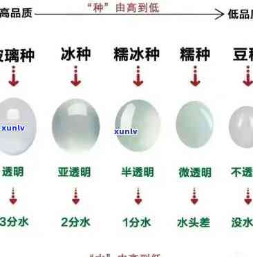 糯种是什么级别的？了解糯种的等级划分及图片展示