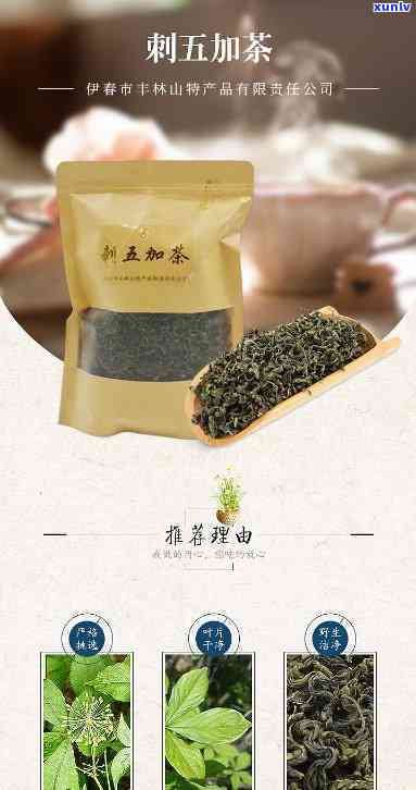 刺五加茶的功效作用-刺五加茶的功效作用与禁忌