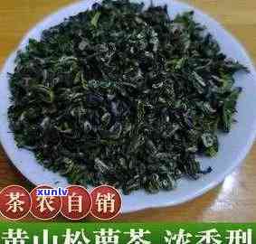 松萝茶的功效与作用-松萝茶的功效与作用及禁忌