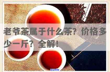 青岛云头崮老爷茶价格是多少？了解老爷茶的价格及介绍