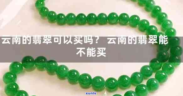 信用卡逾期9元：解释、影响及如何解决逾期问题