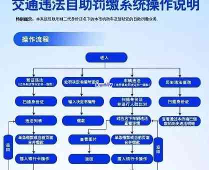 交通违法逾期收费解决全攻略：流程、  及留意事