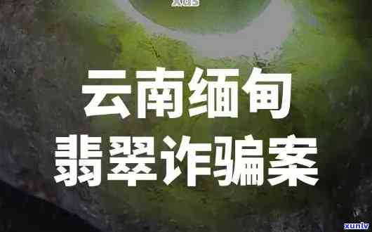 揭秘：白底青飘阳绿翡翠手镯的市场价格与收藏价值