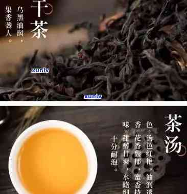 千年老妖茶的副作用-千年老妖茶的副作用有哪些