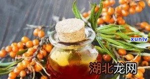 喝完美沙棘茶的反应-喝完美沙棘茶的反应是什么