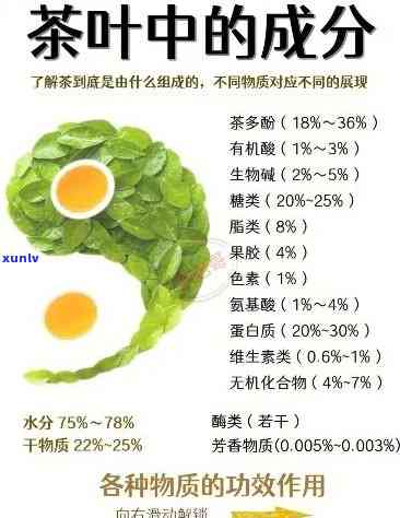 茶中甜味是哪种成分造成的，揭示茶中甜味的来源：究竟是何种成分在起作用？