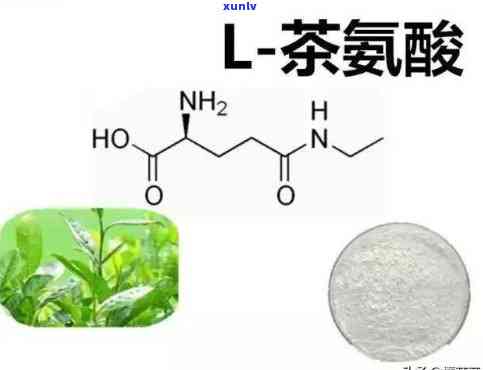 茶中的味主要来源于茶叶中的氨基酸、咖啡碱和多酚类化合物等物质。