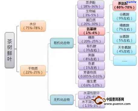 特别爱喝浓茶的原因分析：深度解读与图表展示