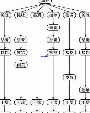 六大茶类的分类原理图，六大茶类：探索茶叶分类的原理与图解