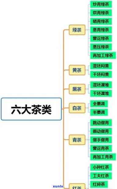 说出六大茶类的分类，探索茶叶世界：详细解析六大茶类的分类与特点