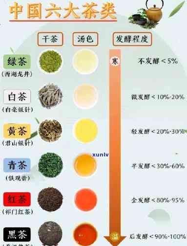 说出六大茶类的分类，探索茶叶世界：详细解析六大茶类的分类与特点