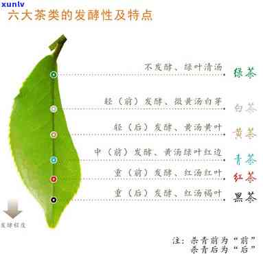 六大茶类的分类原理-六大茶类的分类原理是什么