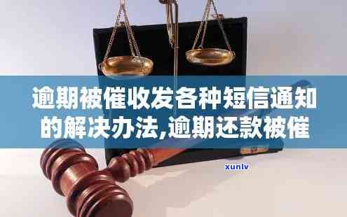 发逾期降额短信通知：怎样解决与回复