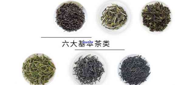 六大茶类gcg含量-六大茶类gcg含量是多少