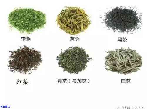 六大茶类采用的原料是：绿茶、红茶、乌龙茶、白茶、黄茶、黑茶。