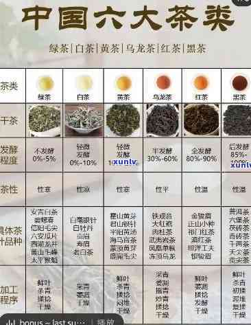 探究六大茶系的原材料及其分类与功效