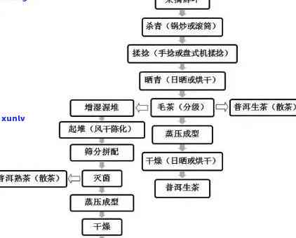 半发酵茶的 *** 工艺-半发酵茶的 *** 工艺流程