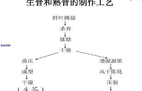 初加工茶的关键工艺有哪些，揭示初加工茶的关键工艺：从原料到成品的全过程解析