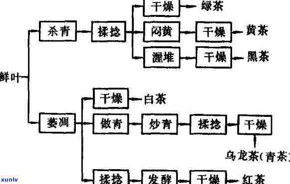 初加工茶的关键工艺-初加工茶的关键工艺是什么