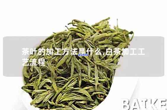 直条形茶的 *** 工艺-直条茶是什么