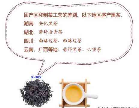 最古老的茶类是什么茶，探秘古老茶文化：最古老的茶类是什么？