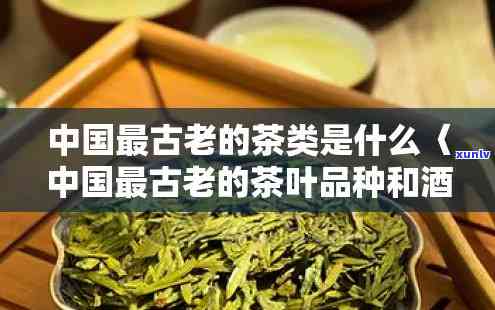 最古老的茶类是什么-最古老的茶类是什么茶