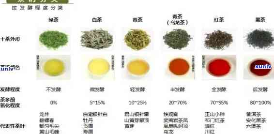 全发酵的茶类是什么-全发酵的茶类是什么茶