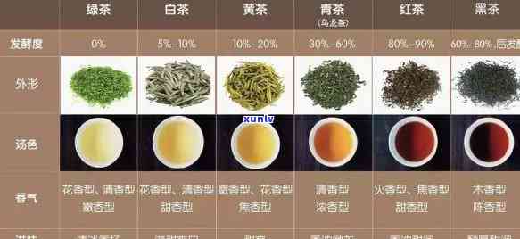 茶类品种有哪些图片及名称，探索茶的世界：茶类品种的图片与名称全览