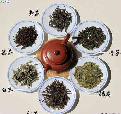 茶类品种有哪些图片-茶类品种有哪些图片大全