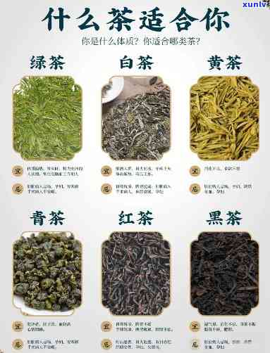 茶的品种及功效，探索茶叶的世界：品种与功效解析