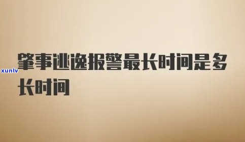 肇事逃逸解决时效：规定时长与作用解析