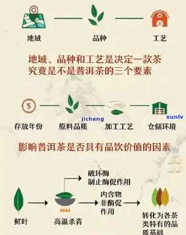 全面解析：枇杷叶制茶工艺流程与步骤图