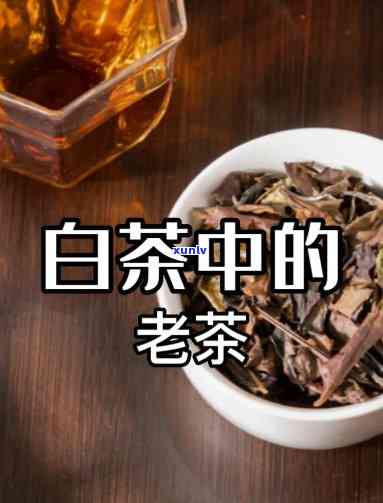 老谈茶的茶怎么样-老谈茶的茶可靠吗