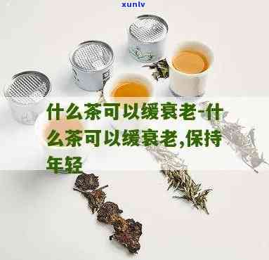 老谈茶的茶怎么样-老谈茶的茶可靠吗