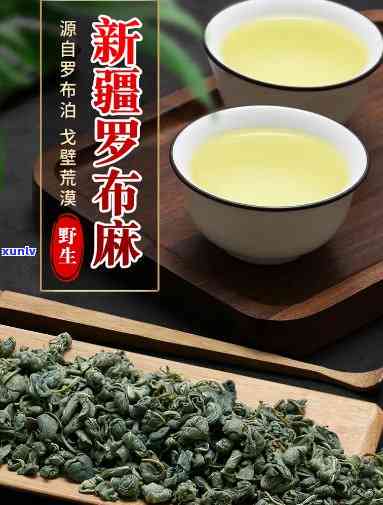 全面解析：罗布麻茶的味道怎样？好喝吗？