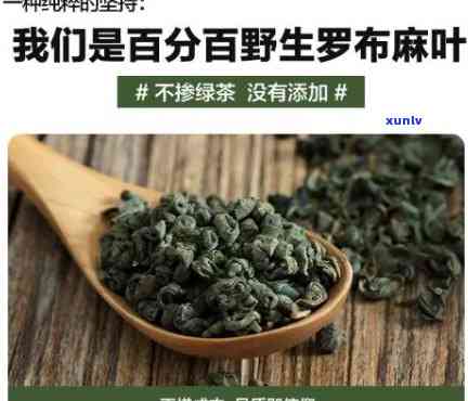 全面解析：罗布麻茶的味道如何？好喝吗？