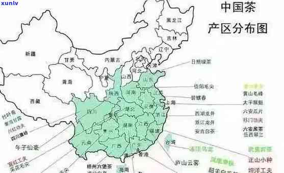 中国六大茶类产地：详细解析与排名