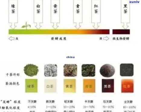 探究六大茶类茶颜色由深至浅的变化及其原因