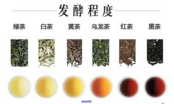 探究六大茶类茶颜色由深至浅的变化及其原因