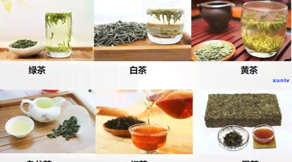 六大茶类茶的颜色-六大茶类茶的颜色是什么