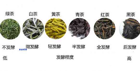 六大茶类特有工序是-六大茶类特有工序是什么意思