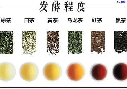 属于不发酵茶的有哪些？绿茶、黄茶等非发酵茶类介绍