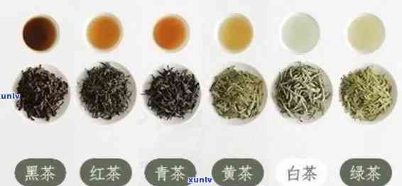 属于不发酵茶的有哪些？绿茶、黄茶等非发酵茶类介绍