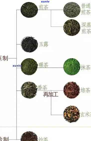 以下哪种茶不属于茶的六大分类，揭秘：以下哪种茶不属于茶的六大分类？