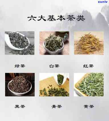 六大基本茶类分别是-六大基本茶类分别是什么