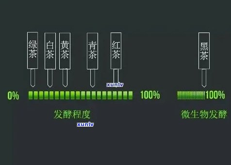 属于全发酵茶类的是-属于全发酵茶类的是什么茶