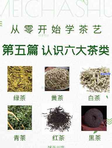 六大茶类有哪些艺术-六大茶类有哪些艺术品